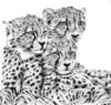 Схема вышивки «Гепарды»