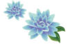 Схема вышивки «Blue flower»