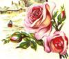 Схема вышивки «Роза и деревенский домик»