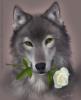Схема вышивки «Волк с белыми розами»