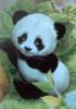 Схема вышивки «Маленький панда»