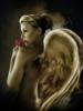 Схема вышивки «Женщина ангел»
