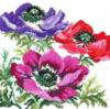 Схема вышивки «Цветики, цветочки»