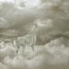 Схема вышивки «В облаках»