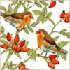 Схема вышивки «Птички и ягодки»