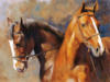 Схема вышивки «Двойка лошадей»