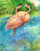 Схема вышивки «Flamingo»