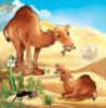 Схема вышивки «Верблюжонок с мамой»