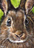 Схема вышивки «Портрет кролика»