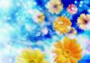 Схема вышивки «Небесные цветы»