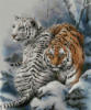 Схема вышивки «Тигры»