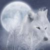 Схема вышивки «Лунный волк»