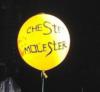 Схема вышивки «Chester-molester»