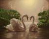 Схема вышивки «Лебединая любовь»