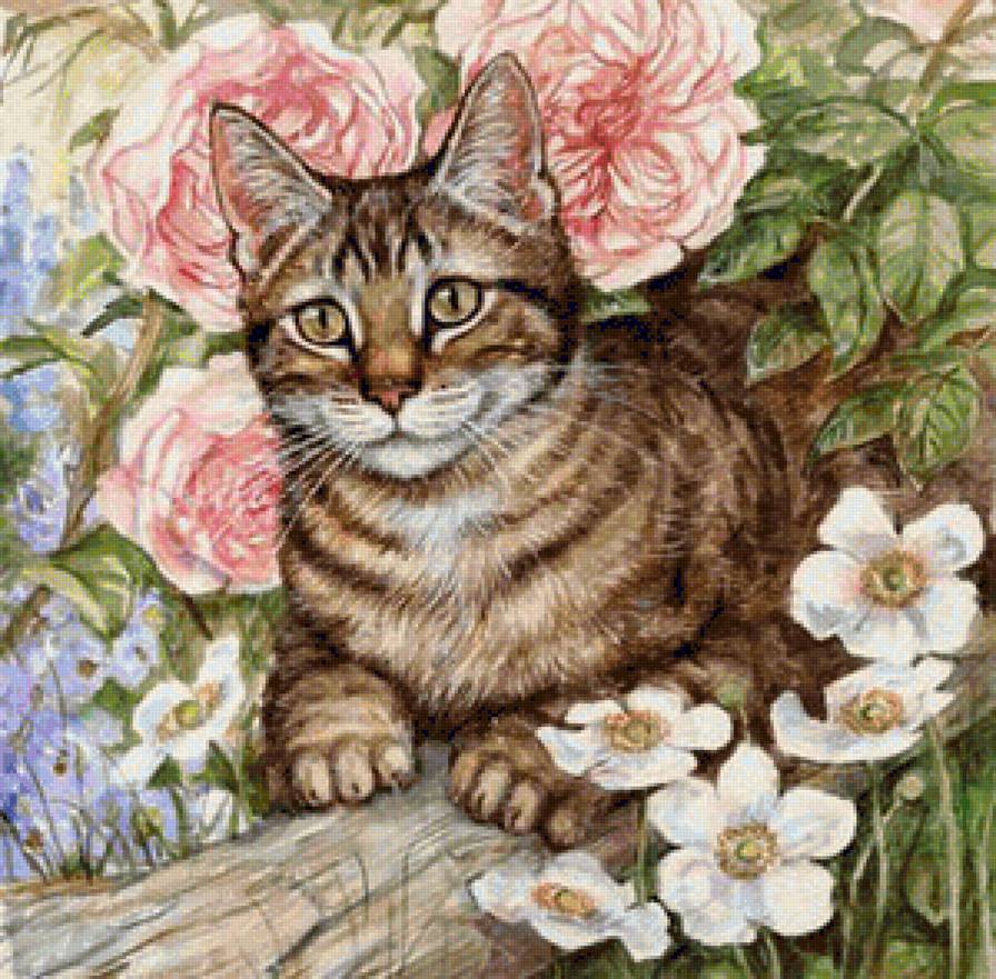 кот в цветах-2.jpg (896×881) | Милые котики