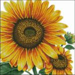 lv-sunflower